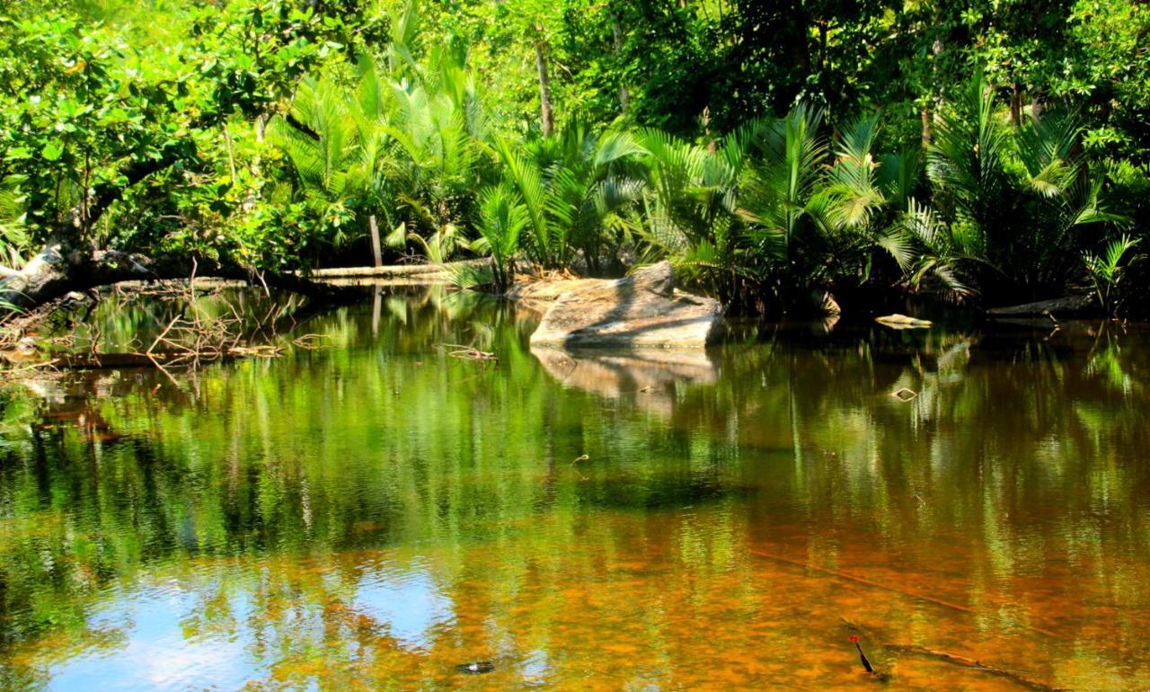 Arkadia Beach Resort Underground River ซาบัง ภายนอก รูปภาพ